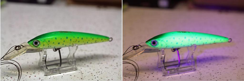Yo-Zuri Hydro Magnum looks a lot different to fish than people. © Jarrod Day